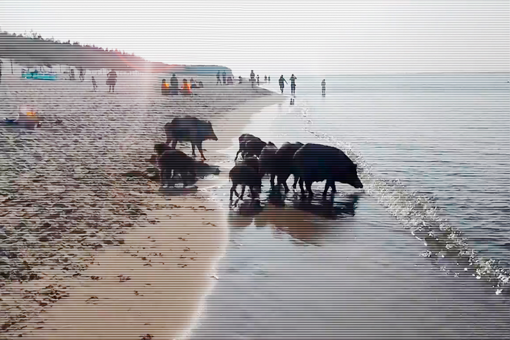 Hurra das Meer Hurra das Meer