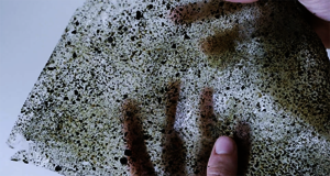 aus dem Projekt mojo