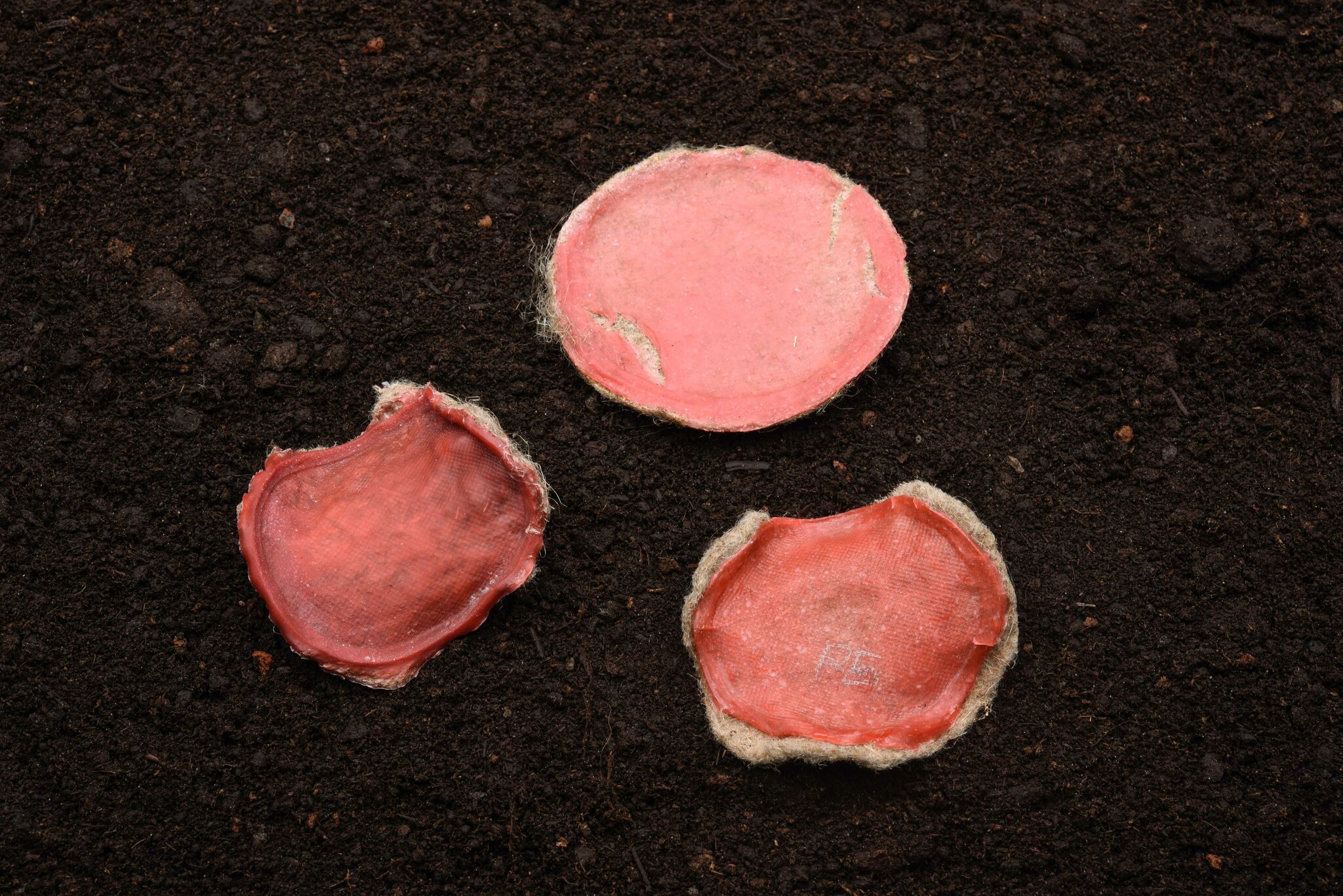 Mit Krapppulver gefärbte Bio-Komposite Mit Krapppulver gefärbte Bio-Komposite