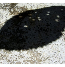 Helio Fervenza, fish shadow, venice biennale 2013