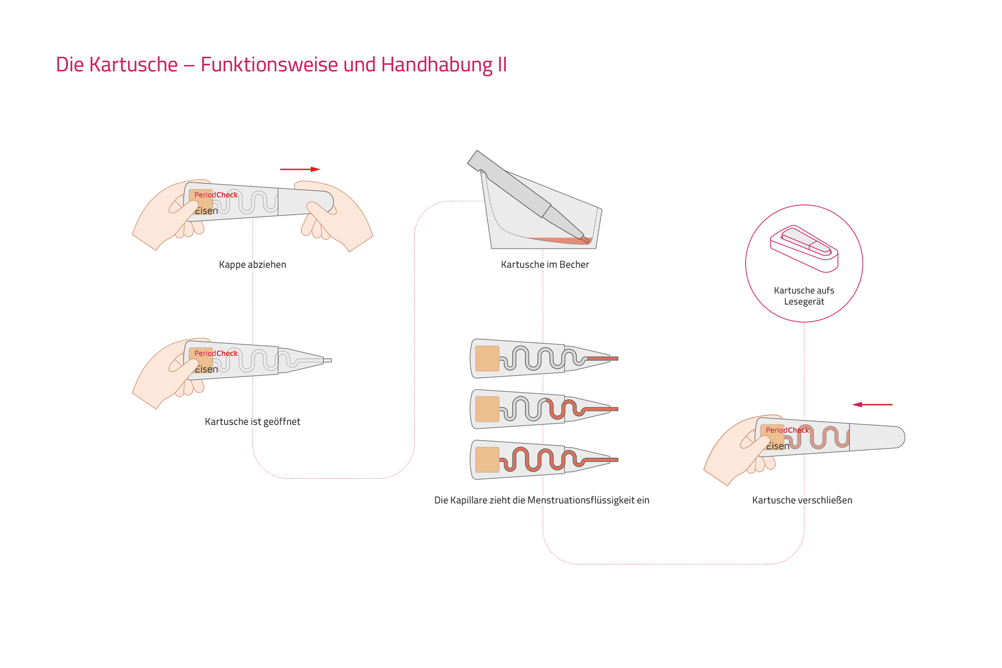 Funktion und Interaktion Kartusche 2 Funktion und Interaktion Kartusche 2
