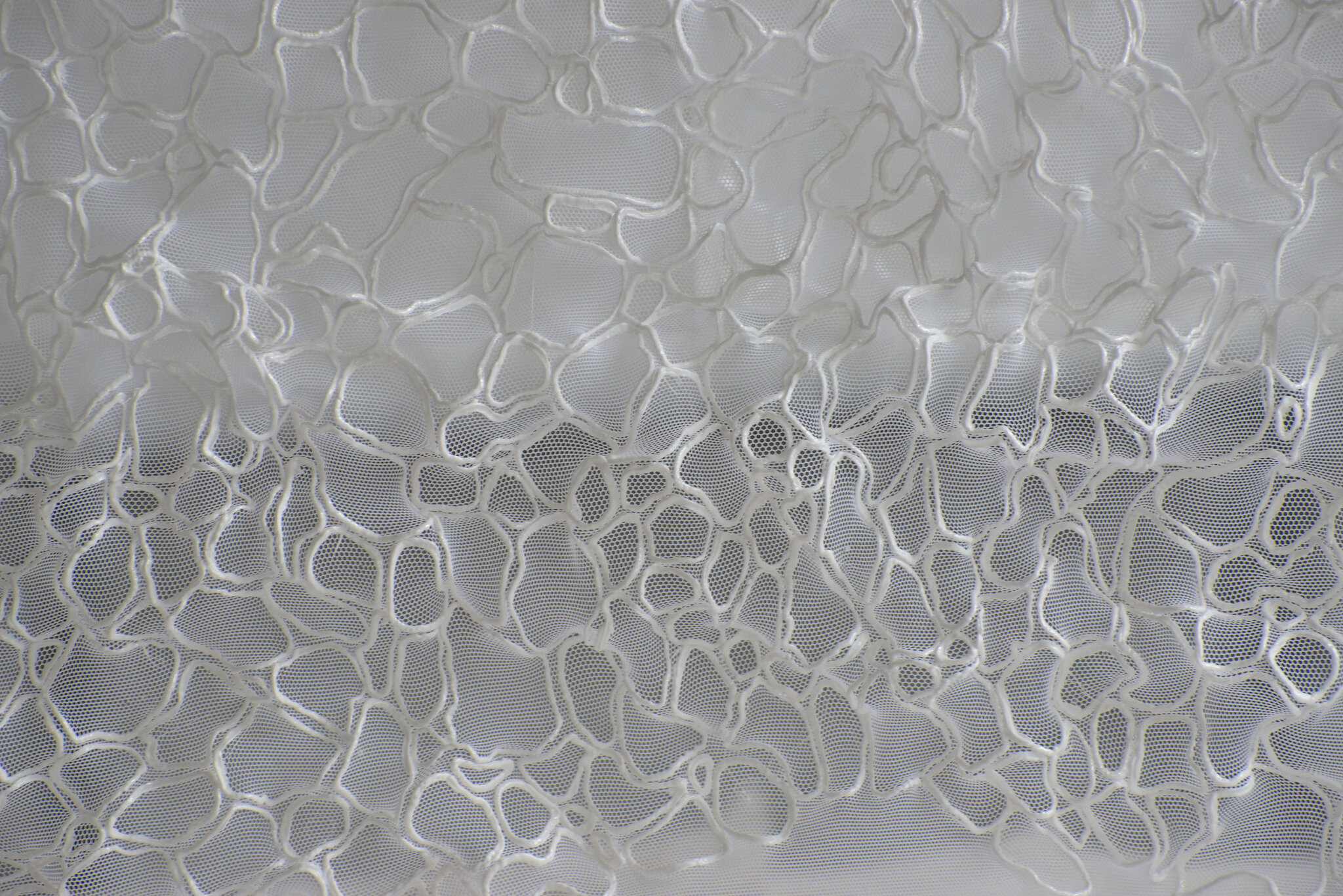 Scaling Nature 1_Wrinkles_ByBubble_Shoval Vitznitser Scaling Nature 1_Wrinkles_ByBubble_Shoval Vitznitser