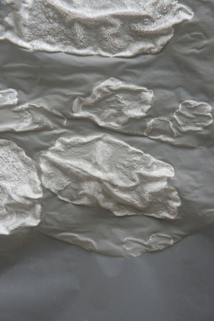 Scaling Nature 1_Wrinkles_Ex_Fluid_Vanko Zhou_copyright Hanns Joosten Scaling Nature 1_Wrinkles_Ex_Fluid_Vanko Zhou_copyright Hanns Joosten