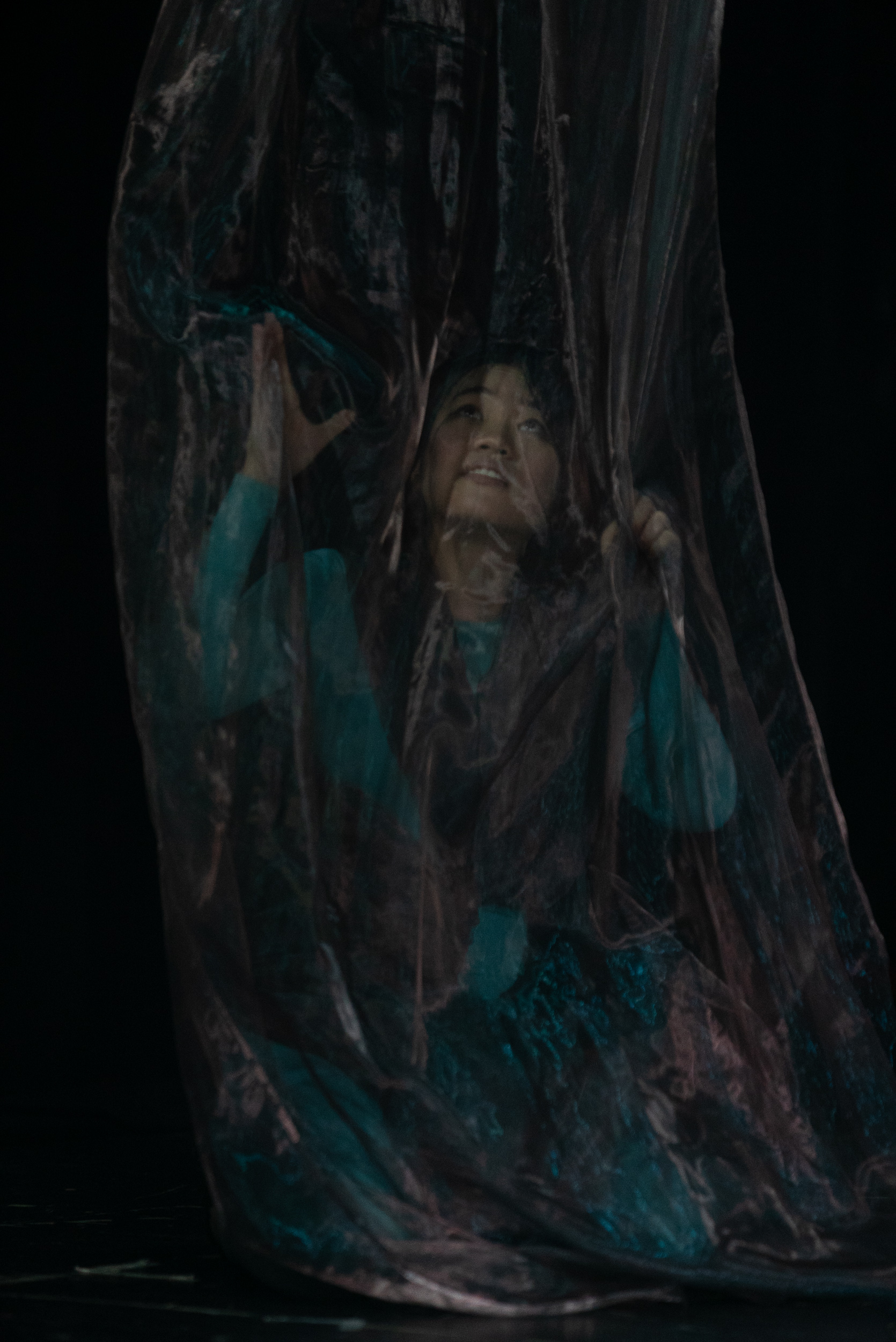 Alcina Alcina