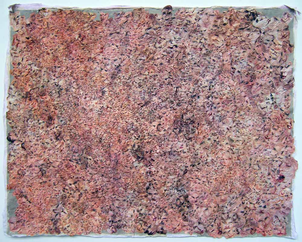 b5.jpg b5.jpg