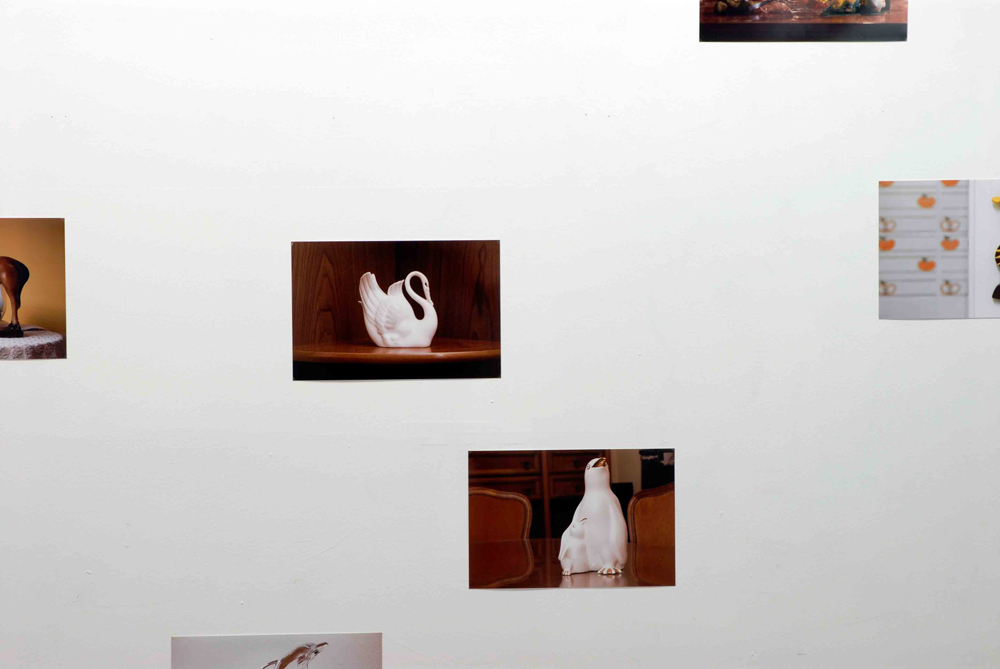 zoohause003.jpg zoohause003.jpg