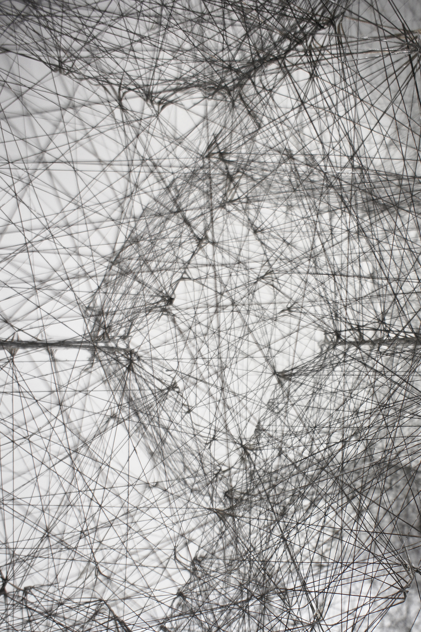 StoneWeb6 StoneWeb6