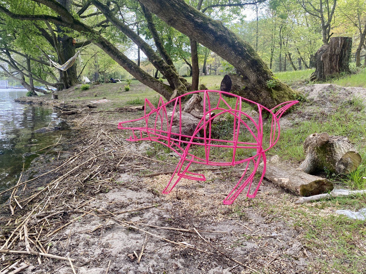 Wildschwein Wildschwein
