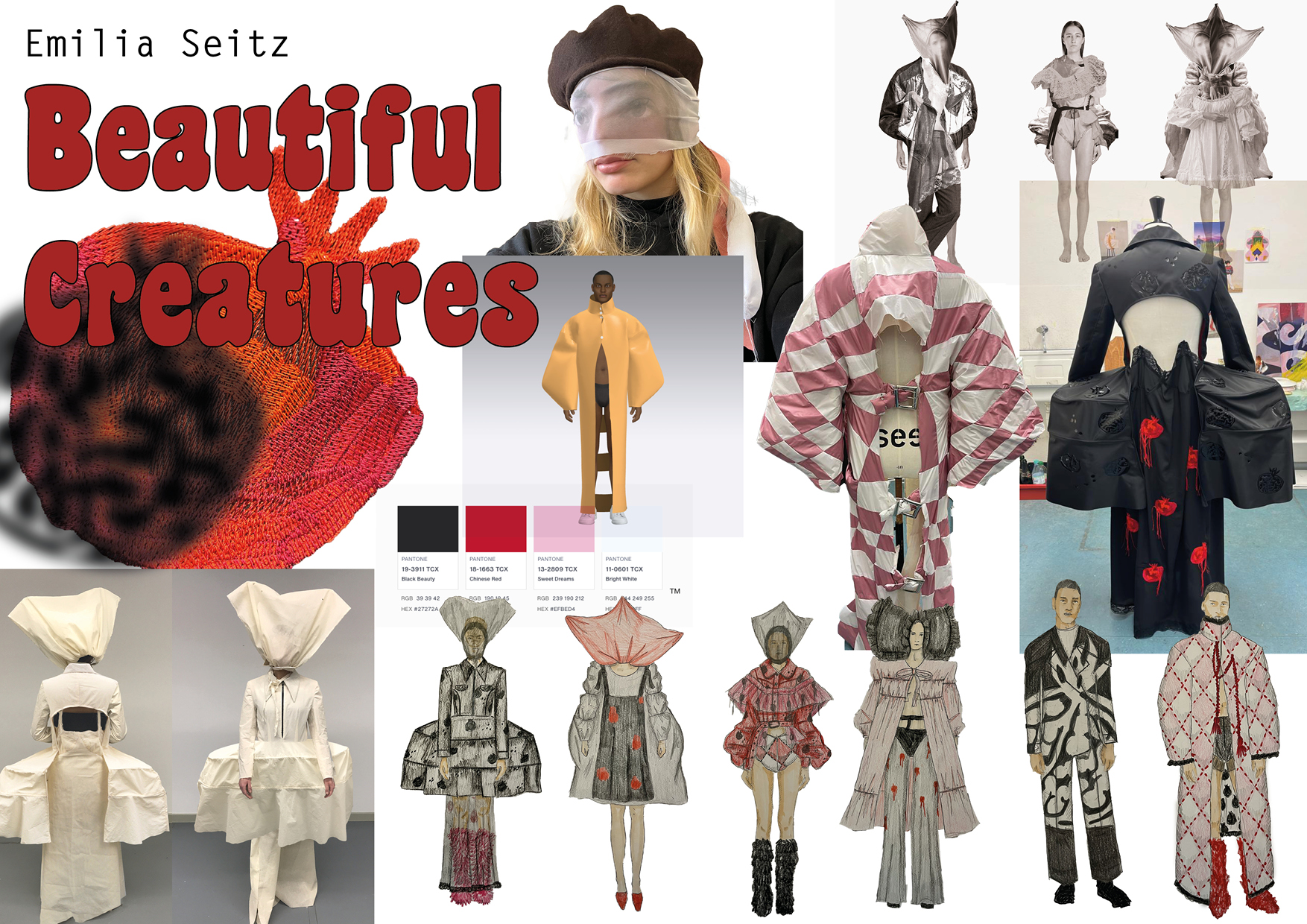 Emilia Seitz Process Collage Emilia Seitz Process Collage
