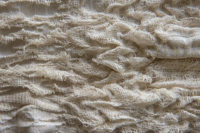 MoA Design Studio_Scaling Nature_Wrinkles_Samira Akhavan MoA Design Studio_Scaling Nature_Wrinkles_Samira Akhavan