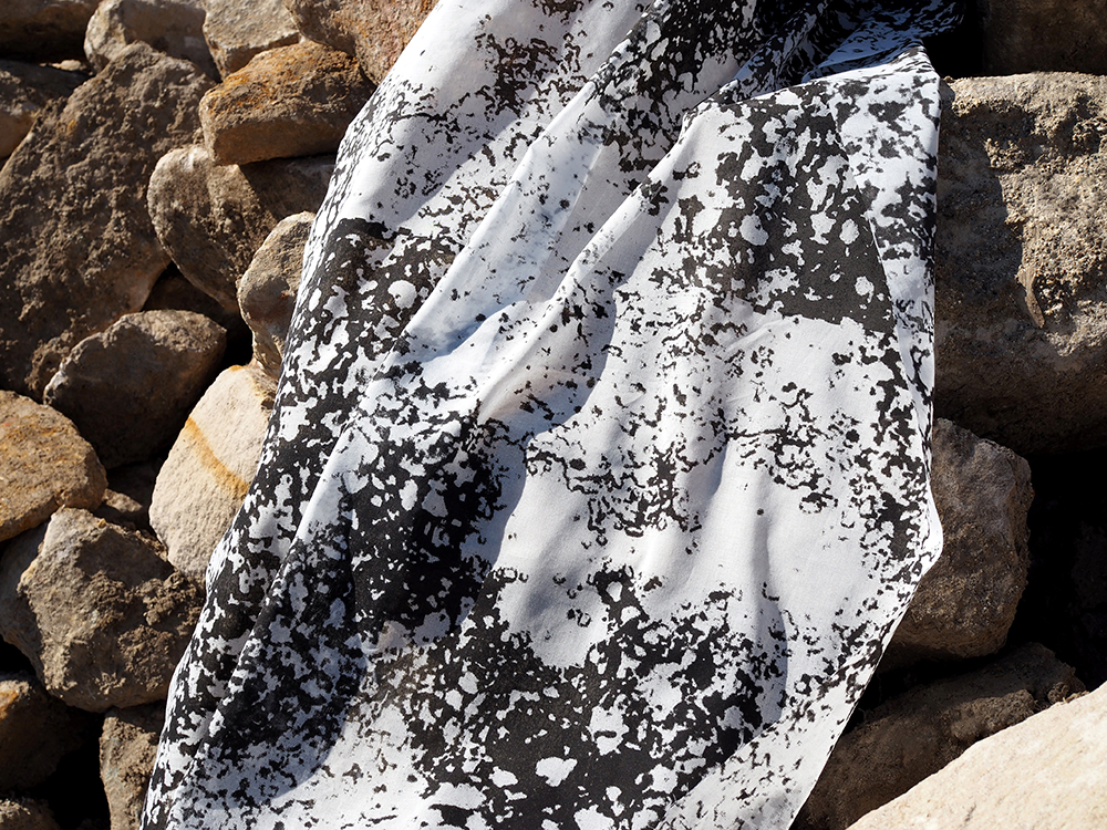 Zwischentöne der Porifera_Marleen_Bauer_bio.evolution_3 Zwischentöne der Porifera_Marleen_Bauer_bio.evolution_3