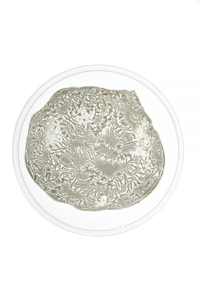 Transitional Textures - Nelli Singer Transitional Textures - Nelli Singer
