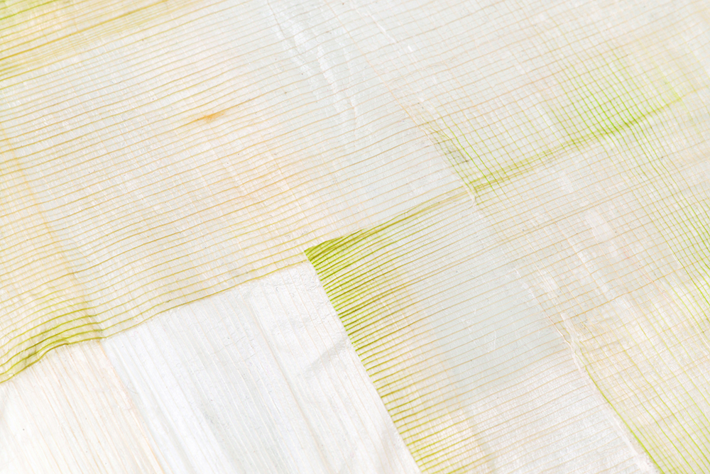 Leek Lines_Madleen_Albrecht_bio.e.volution_3 Leek Lines_Madleen_Albrecht_bio.e.volution_3