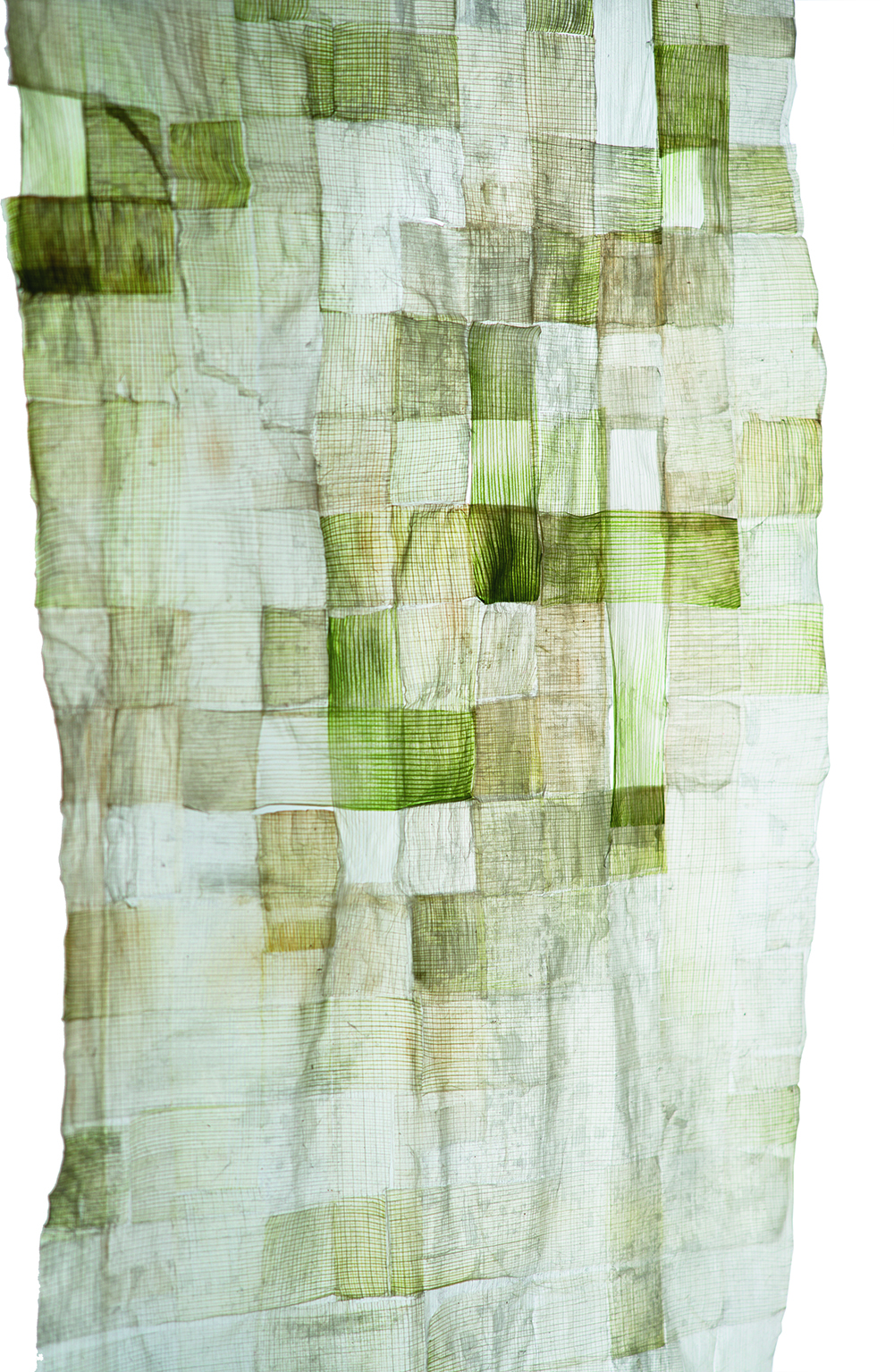 Leek Lines_Madleen_Albrecht_bio.e.volution_5 Leek Lines_Madleen_Albrecht_bio.e.volution_5