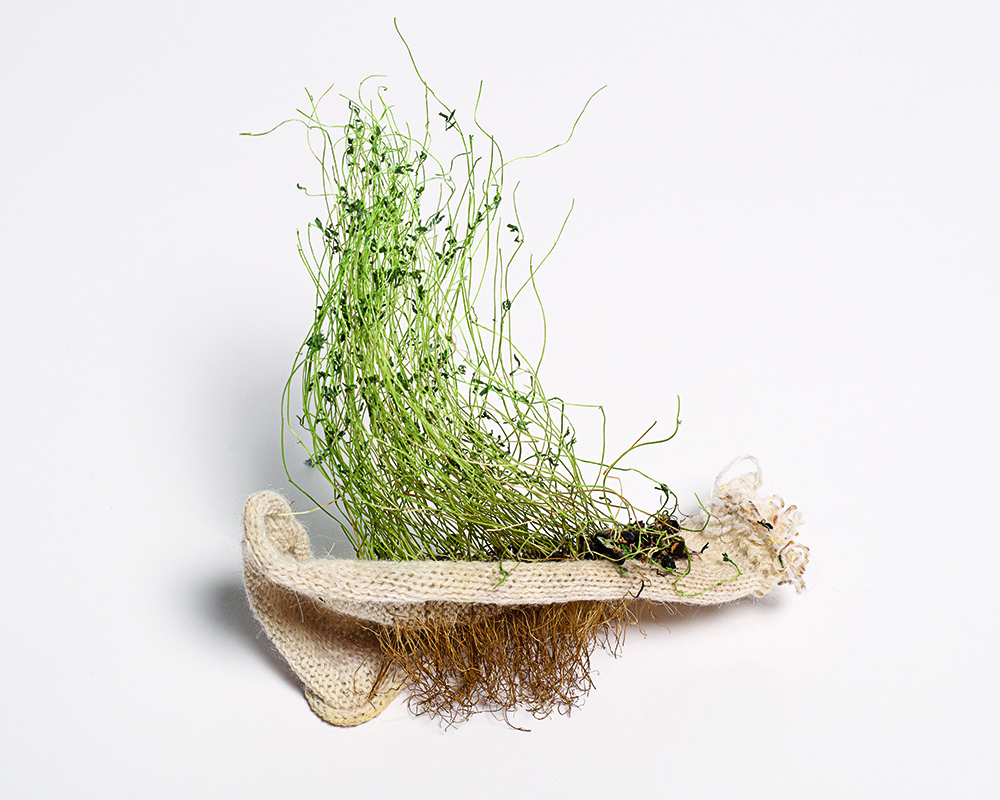 TEXSEED_Elisa_Martignoni_bio.evolution_3 TEXSEED_Elisa_Martignoni_bio.evolution_3