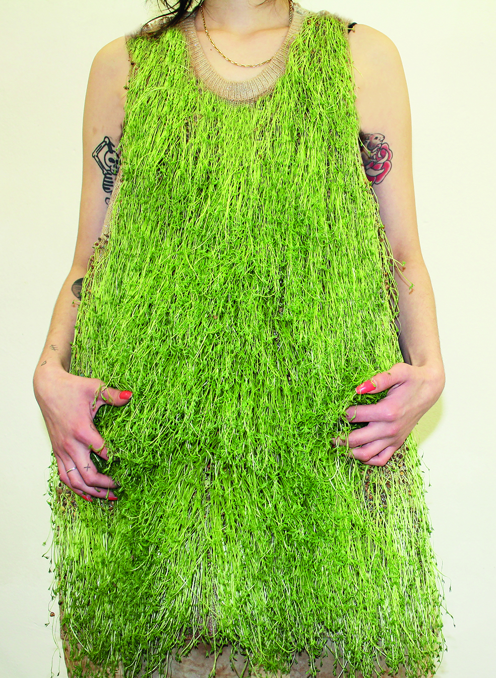 TEXSEED_Elisa_Martignoni_bio.evolution_4 TEXSEED_Elisa_Martignoni_bio.evolution_4